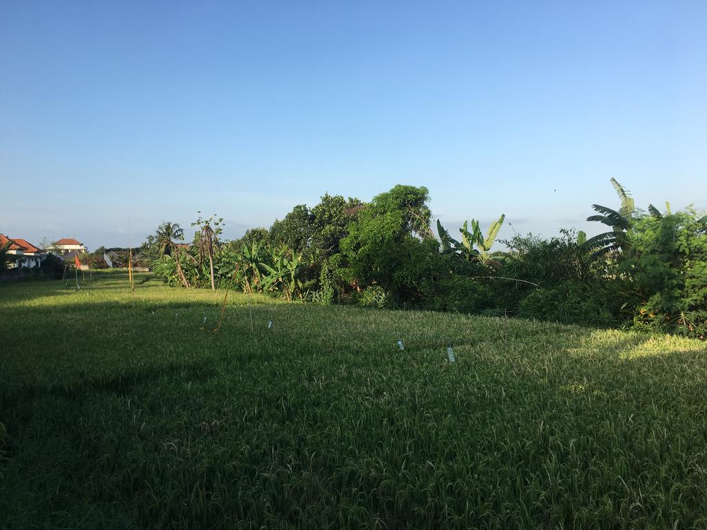 Gangga Guest House Canggu Екстериор снимка